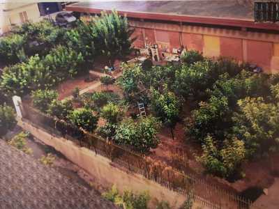 Un raro �giardino urbano� che � riuscito quindi a farsi largo tra l�asfalto e il cemento, ma che rischia adesso di essere cancellato per sempre. A fine giugno infatti il �contadino� ha dovuto riconsegnare le chiavi dell�appezzamento su richiesta del proprietario